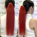 Αλογοουρά Ponytail Φυσικά Μαλλιά Silver Line Με Χτενάκι 45-50cm Red#